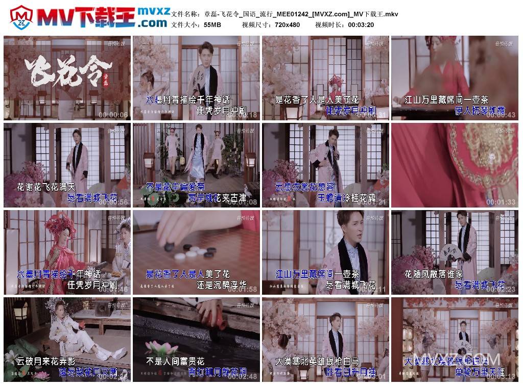 章磊-飞花令_国语_流行_MEE01242